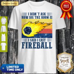 Awesome I Didn’t Ask How Big The Room Is I Said I Cast Fireball Sunset Shirt
