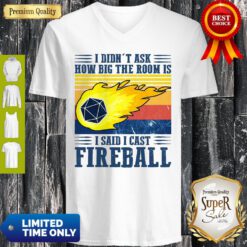 Awesome I Didn’t Ask How Big The Room Is I Said I Cast Fireball Sunset V-neck