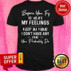 Before You Try To Hurt My Feelings Keep In Mind I Don't Have Any And You Probably Do Shirt