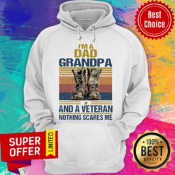 I’m A Dad Grandpa And A Veteran Nothing Scares Me Vintage Hoodie