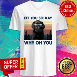 Labrador Eff You See Kay Why Oh You Vintage V-neck