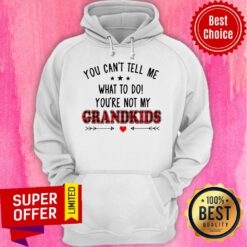 Nice You Can’t Tell Me What To Do You’re Not My Grandkids Hoodie