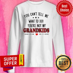 Nice You Can’t Tell Me What To Do You’re Not My Grandkids Sweatshirt