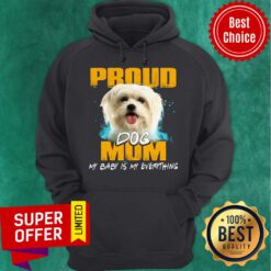 Official Proud Dog Mom My Baby Is My Everything Hoodie