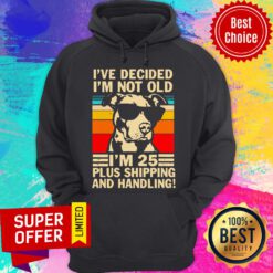 Pitbull I’ve Decided I’m Not Old I’m 25 Plus Shipping And Handling Vintage Hoodie