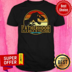 Premium Vintage Fatherhood Is Walk In The Park Shirt