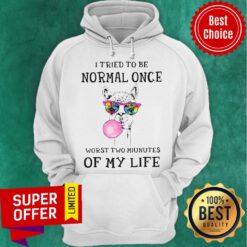Awesome Lama I Tried To Be Normal Once Worst Two Minutes Of My Life Hoodie