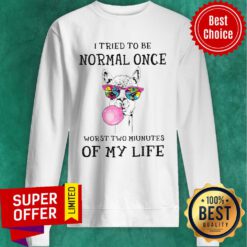 Awesome Lama I Tried To Be Normal Once Worst Two Minutes Of My Life Sweatshirt