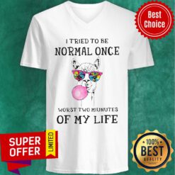 Awesome Lama I Tried To Be Normal Once Worst Two Minutes Of My Life V-neck