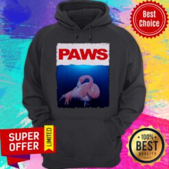 Awesome Paws Flamingo Hoodie