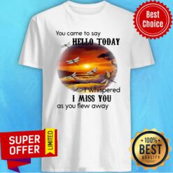 Dragonfly You Came To Say Hello Today I Whispered I Miss You As You Flew Away Shirt