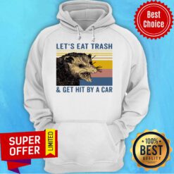 Nice Let’s Eat Trash And Get Hit By A Car Raccoon Hoodie