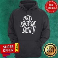 Premium Stussy End Racism Now Hoodie