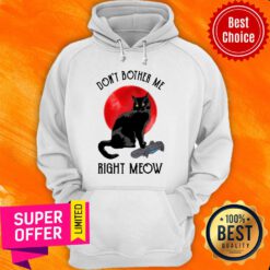 Awesome Cat Don’t Bother Me Right Meow Hoodie