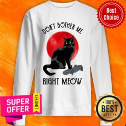Awesome Cat Don’t Bother Me Right Meow Sweatshirt