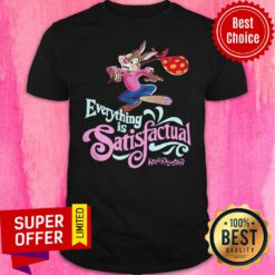 Awesome Everything Is Satisfactual Splash Mountain Shirt