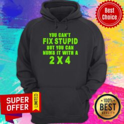 Awesome You Can't Fix Stupid But You Can Numb It With A 2x4 Hoodie