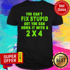 Awesome You Can't Fix Stupid But You Can Numb It With A 2x4 Shirt