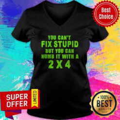 Awesome You Can't Fix Stupid But You Can Numb It With A 2x4 V-neck