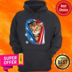 Funny American Flag Cat Hoodie