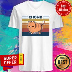 Funny Cat Chonk Vintage V-neck