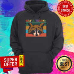 Funny Raccoons Gay And Trashy Vintage Hoodie