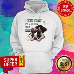 Nice Boston I Didn't Fart My Butt Blew You A Kiss Hoodie