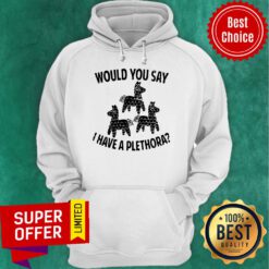 Nice Would You Say I Have A Plethora Three Amigos Hoodie