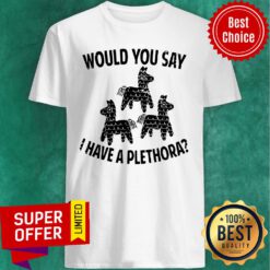 Nice Would You Say I Have A Plethora Three Amigos Shirt