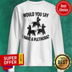 Nice Would You Say I Have A Plethora Three Amigos Sweatshirt