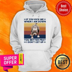 Pitbull If You Kick Me When I Am Down You Better Pray I Don’t Get Up Vintage Retro Hoodie
