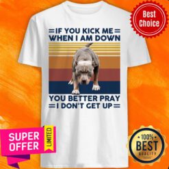 Pitbull If You Kick Me When I Am Down You Better Pray I Don’t Get Up Vintage Retro Shirt