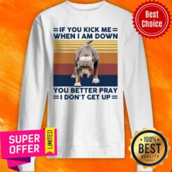 Pitbull If You Kick Me When I Am Down You Better Pray I Don’t Get Up Vintage Retro Sweatshirt