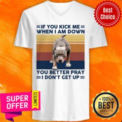 Pitbull If You Kick Me When I Am Down You Better Pray I Don’t Get Up Vintage Retro V-neck