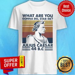 Vintage Retro What Are You Gonna Do Stab Me Julius Caesar 44 B.C Shirt