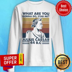Vintage Retro What Are You Gonna Do Stab Me Julius Caesar 44 B.C Sweatshirt