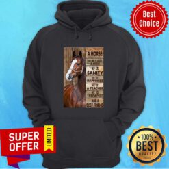 A Horse Is Not Just A Horse He Is Sanity He Is Happiness He Is A Teacher Hoodie