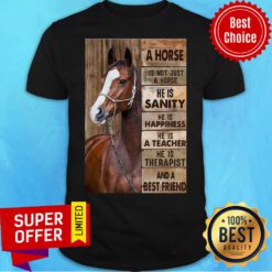 A Horse Is Not Just A Horse He Is Sanity He Is Happiness He Is A Teacher Shirt