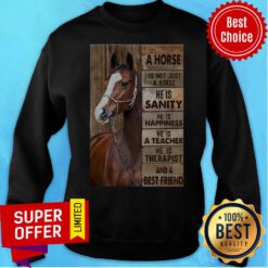A Horse Is Not Just A Horse He Is Sanity He Is Happiness He Is A Teacher Sweatshirt