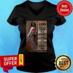 A Horse Is Not Just A Horse He Is Sanity He Is Happiness He Is A Teacher Top Surfing Everything Will Kill You So Choose Something Fun V-neck