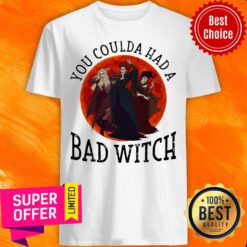 Awesome You Coulda Had A Bad Witch Shirt