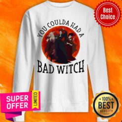 Awesome You Coulda Had A Bad Witch Sweatshirt