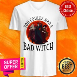 Awesome You Coulda Had A Bad Witch V-neck