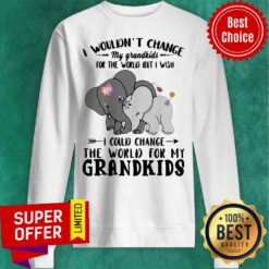 Elephants I Wouldn’t Change My Grandkids For The World But I Wish I Could Change The World For My Grandkids Sweatshirt