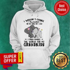 Elephants I Wouldn’t Change My Grandkids For The World But I Wish I Could Change The World For My Grandkids Hoodie