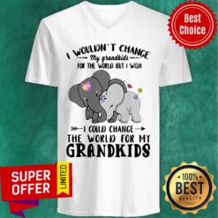 Elephants I Wouldn’t Change My Grandkids For The World But I Wish I Could Change The World For My Grandkids V-neck