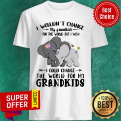Elephants I Wouldn’t Change My Grandkids For The World But I Wish I Could Change The World For My Grandkids Shirt