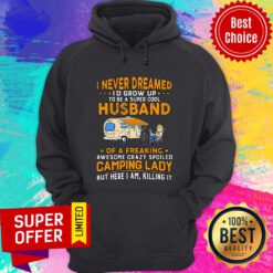 I Never Dreamed I'd Grow Up To Be A Super Cool Husband Hoodie
