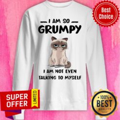 Nice Cat I Am So Grumpy I Am Not Even Talking To Myself Sweatshirt