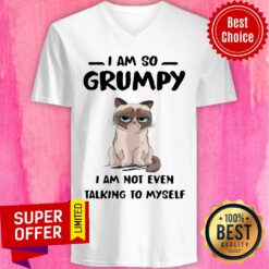 Nice Cat I Am So Grumpy I Am Not Even Talking To Myself V-neck